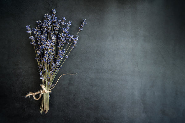 Aromatherapy 101: Lavender